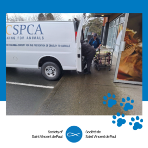 web bc spca